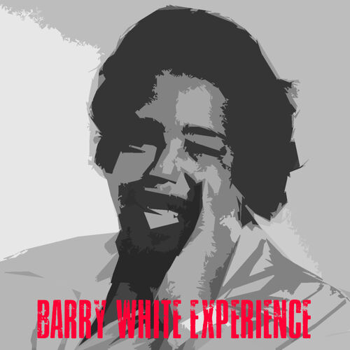 Barry White Experience